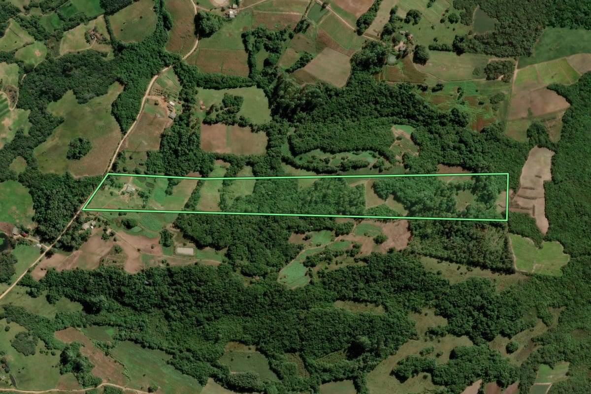 Imagem de satélite do imóvel rural em São Lourenço do Sul (RS), com o contorno declarado no CAR desenhado por cima.