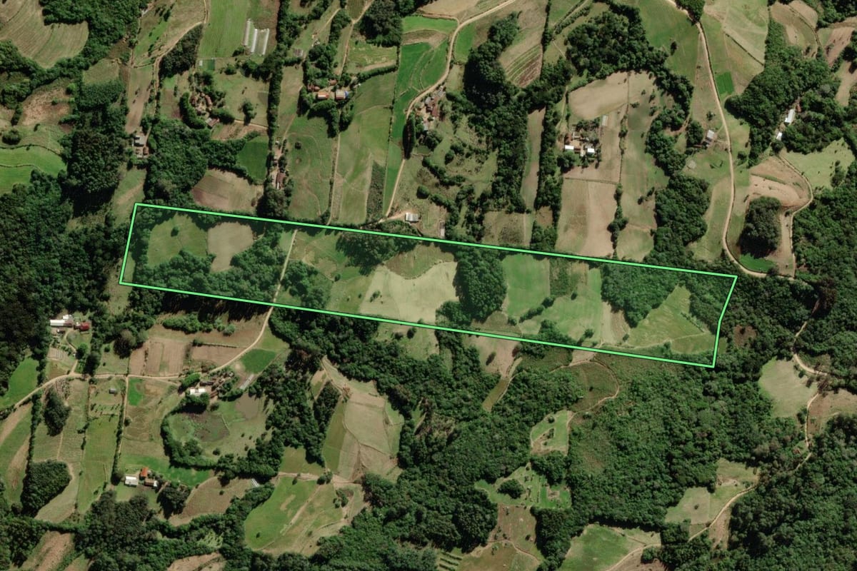 Imagem de satélite do imóvel rural em São Lourenço do Sul (RS), com o contorno declarado no CAR desenhado por cima.