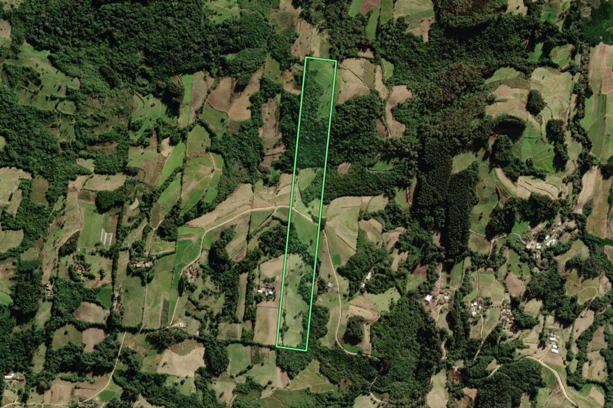 Imagem de satélite do imóvel rural em São Lourenço do Sul (RS), com o contorno declarado no CAR desenhado por cima.