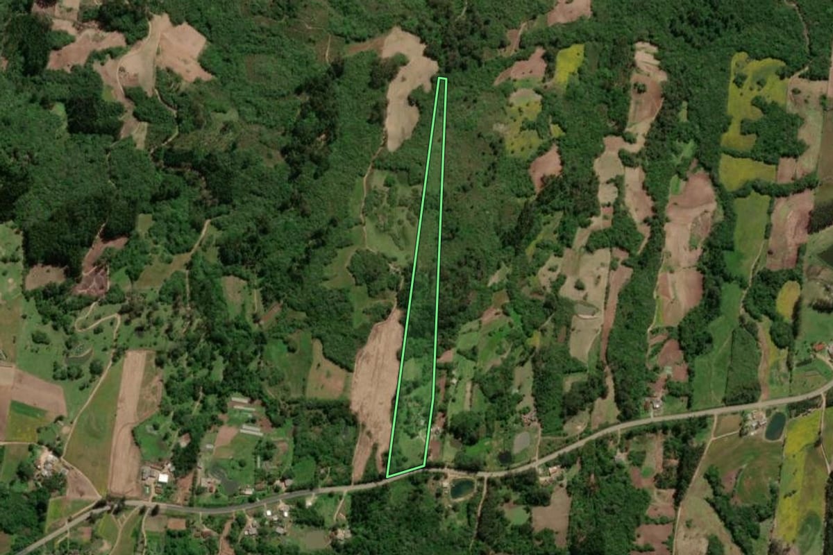 Imagem de satélite do imóvel rural em São Lourenço do Sul (RS), com o contorno declarado no CAR desenhado por cima.