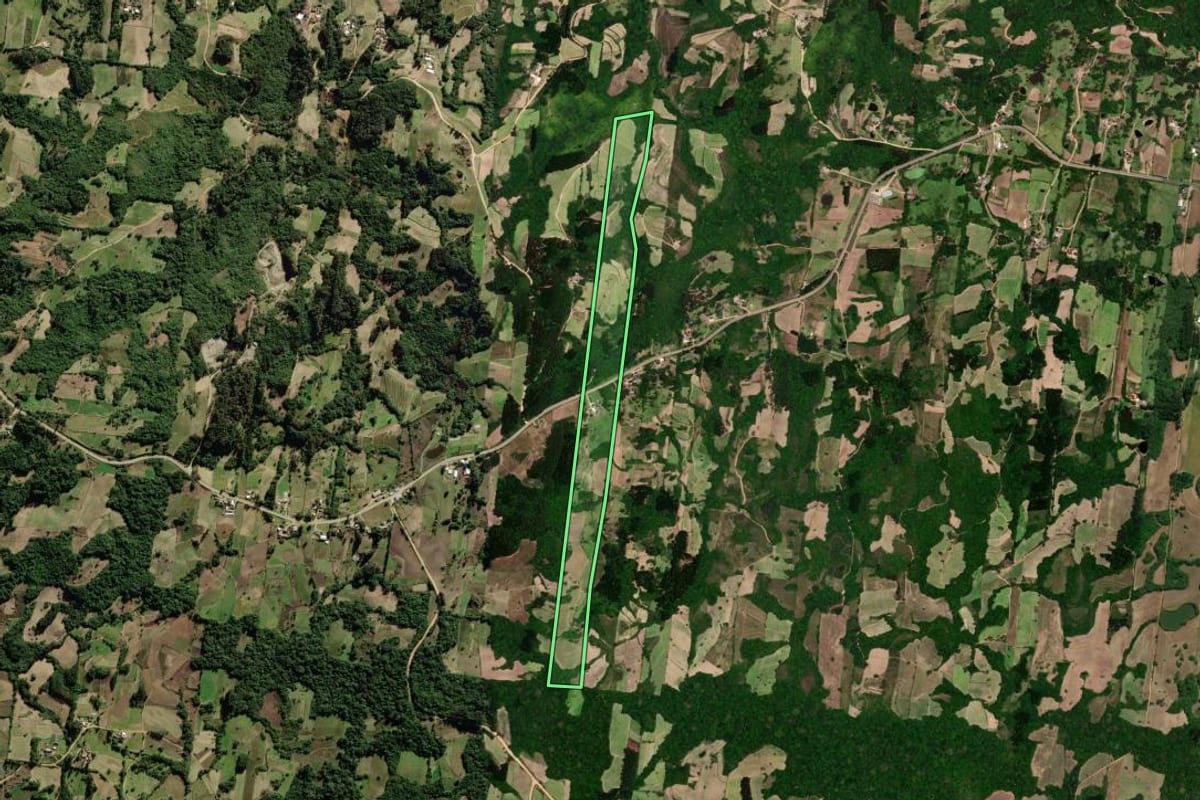 Imagem de satélite do imóvel rural em São Lourenço do Sul (RS), com o contorno declarado no CAR desenhado por cima.