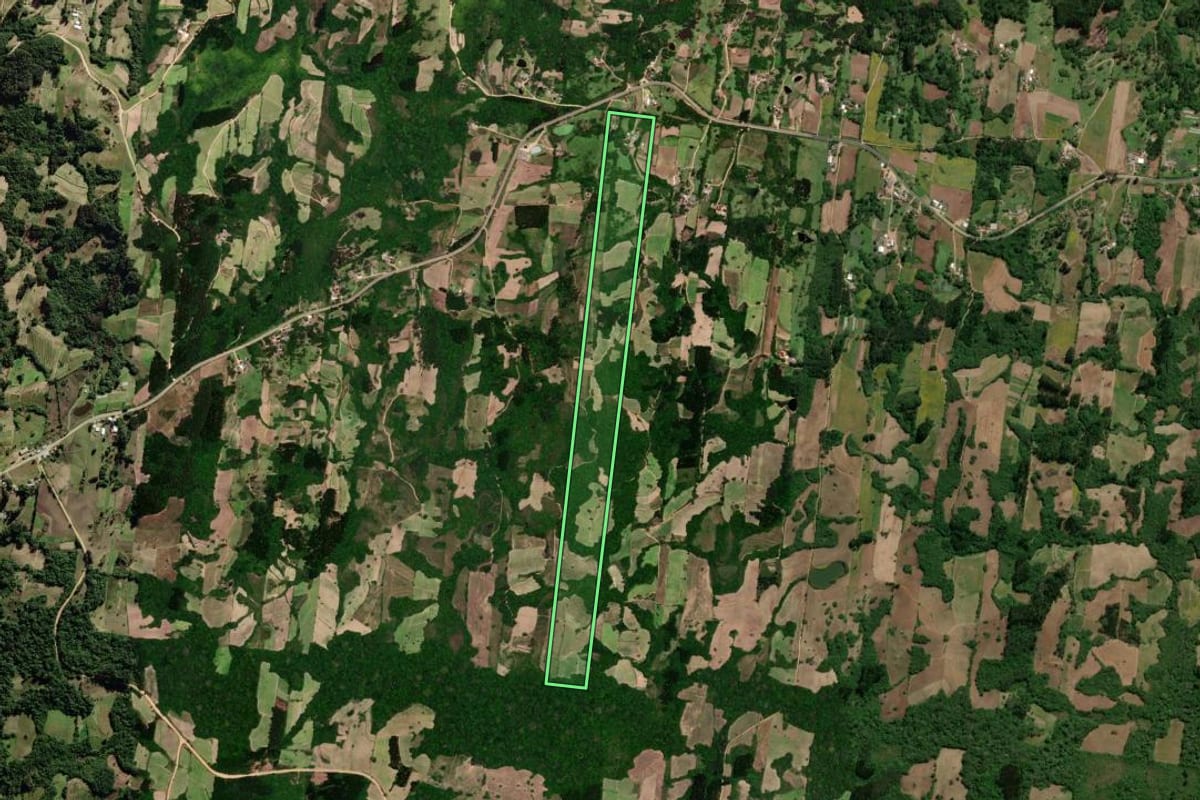 Imagem de satélite do imóvel rural em São Lourenço do Sul (RS), com o contorno declarado no CAR desenhado por cima.