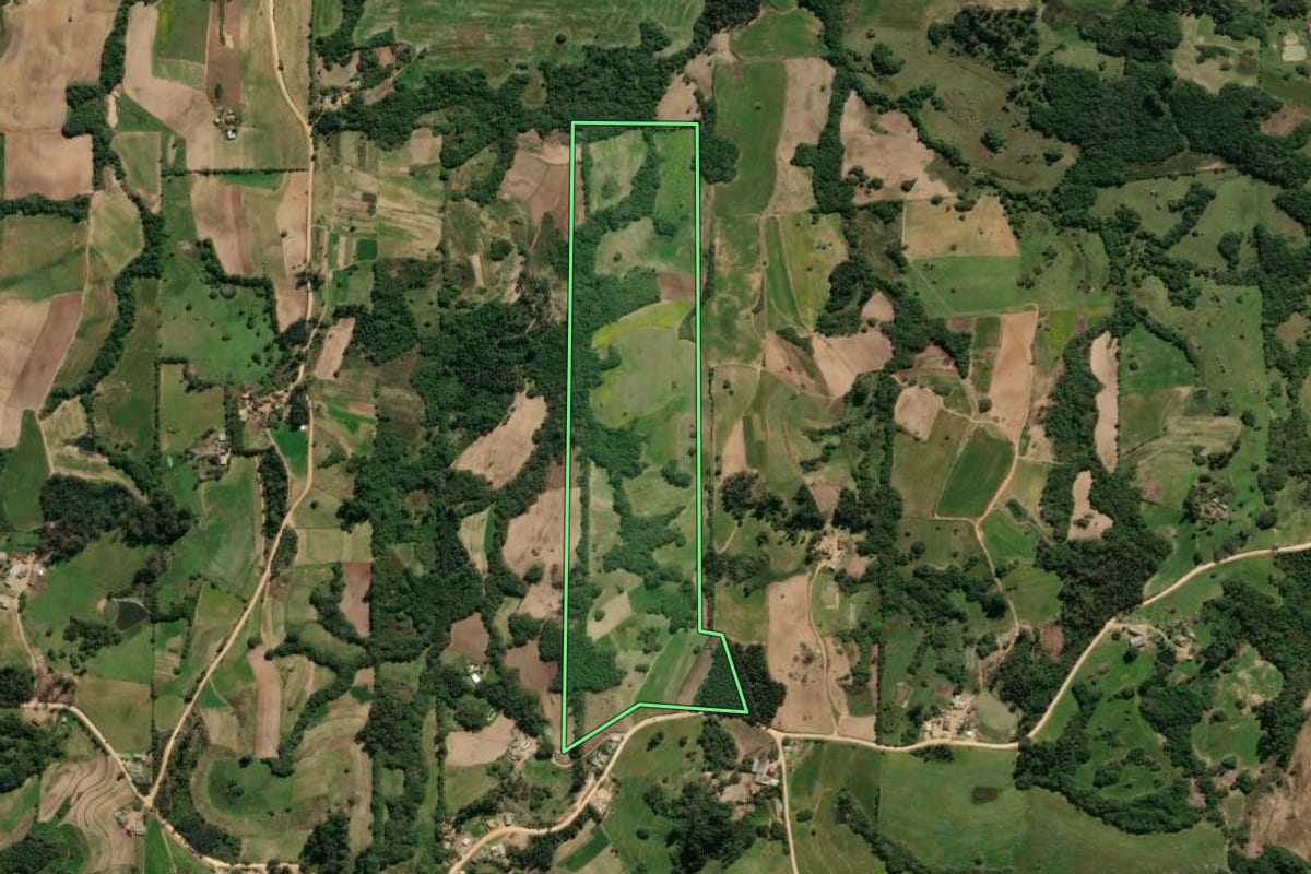 Imagem de satélite do imóvel rural em São Lourenço do Sul (RS), com o contorno declarado no CAR desenhado por cima.