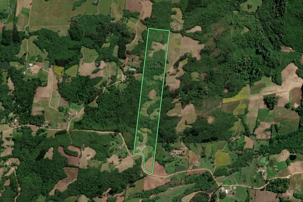 Imagem de satélite do imóvel rural em São Lourenço do Sul (RS), com o contorno declarado no CAR desenhado por cima.