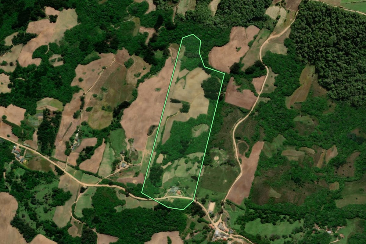 Imagem de satélite do imóvel rural em São Lourenço do Sul (RS), com o contorno declarado no CAR desenhado por cima.