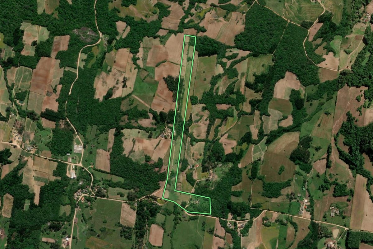 Imagem de satélite do imóvel rural em São Lourenço do Sul (RS), com o contorno declarado no CAR desenhado por cima.