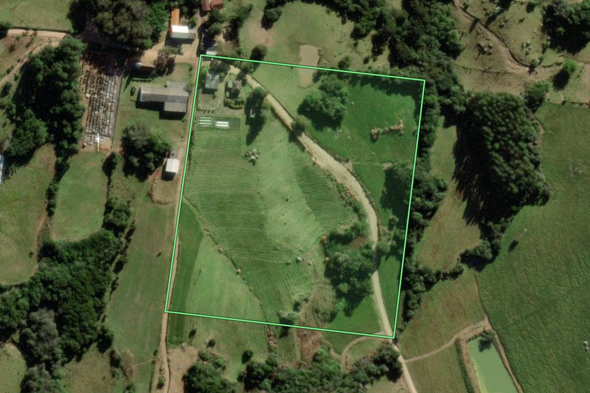 Imagem de satélite do imóvel rural em São Lourenço do Sul (RS), com o contorno declarado no CAR desenhado por cima.
