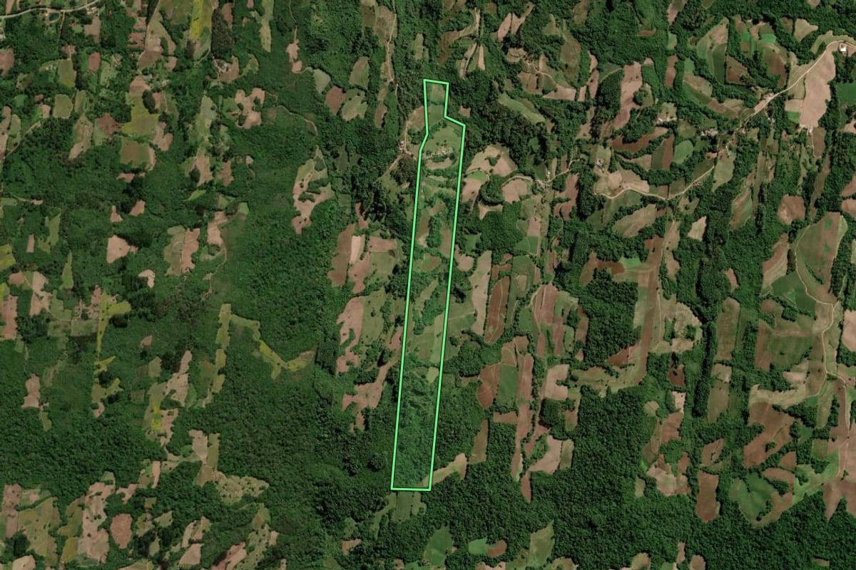 Imagem de satélite do imóvel rural em São Lourenço do Sul (RS), com o contorno declarado no CAR desenhado por cima.