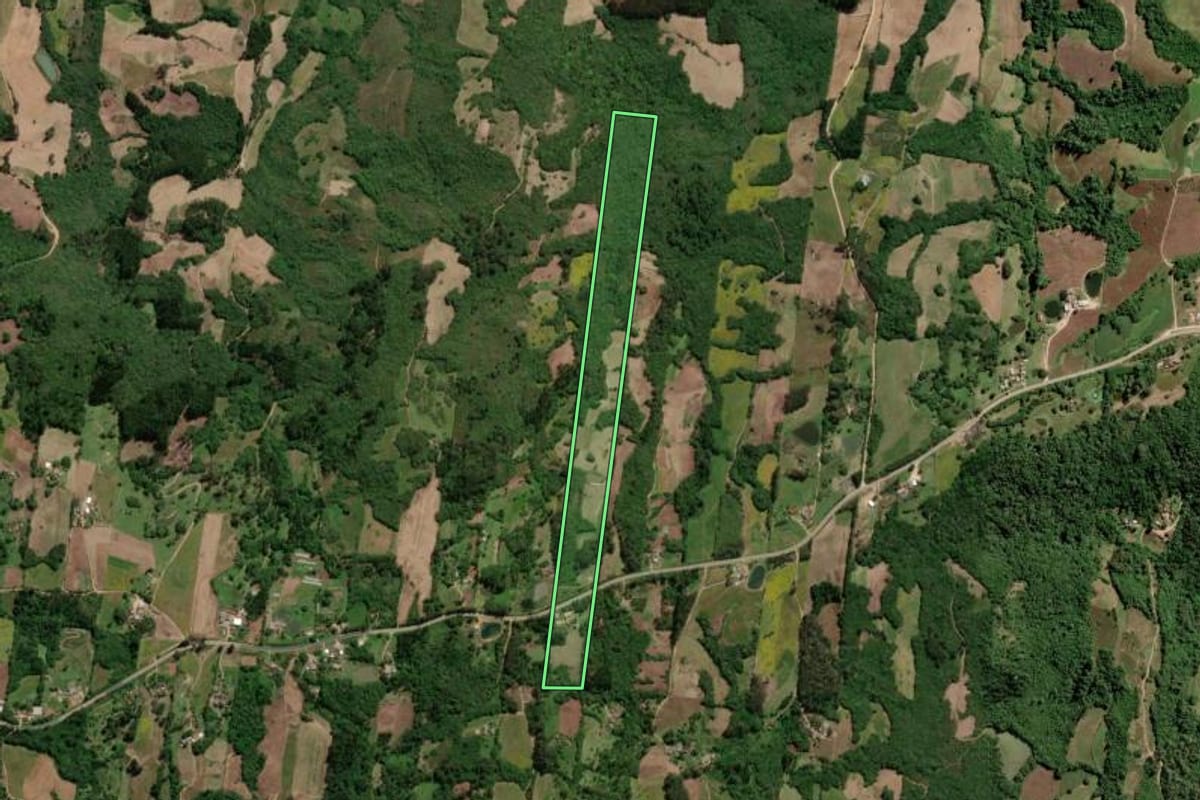 Imagem de satélite do imóvel rural em São Lourenço do Sul (RS), com o contorno declarado no CAR desenhado por cima.