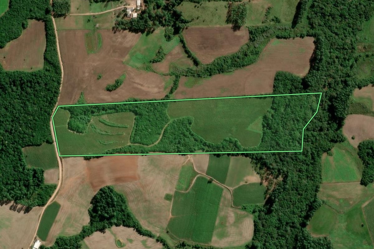 Imagem de satélite do imóvel rural em São Lourenço do Sul (RS), com o contorno declarado no CAR desenhado por cima.