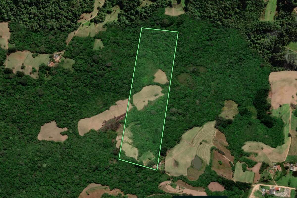 Imagem de satélite do imóvel rural em São Lourenço do Sul (RS), com o contorno declarado no CAR desenhado por cima.