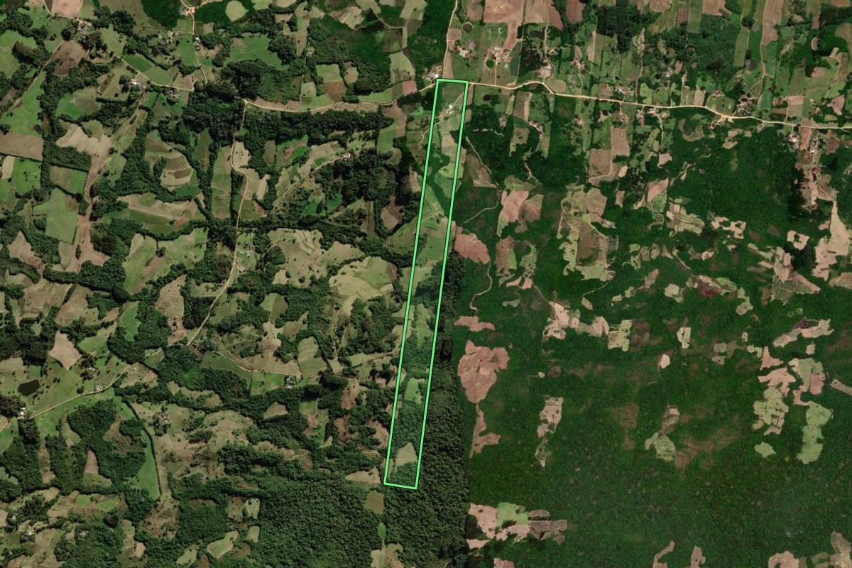 Imagem de satélite do imóvel rural em São Lourenço do Sul (RS), com o contorno declarado no CAR desenhado por cima.