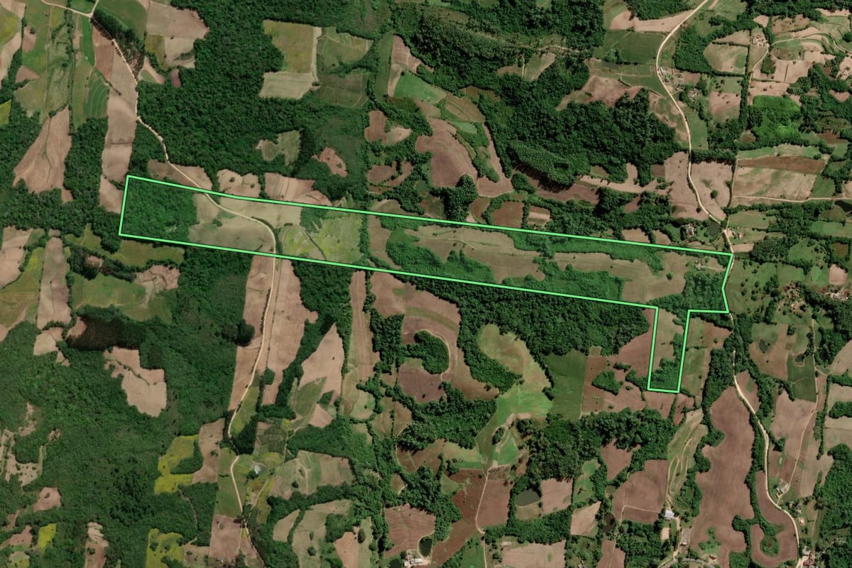 Imagem de satélite do imóvel rural em São Lourenço do Sul (RS), com o contorno declarado no CAR desenhado por cima.