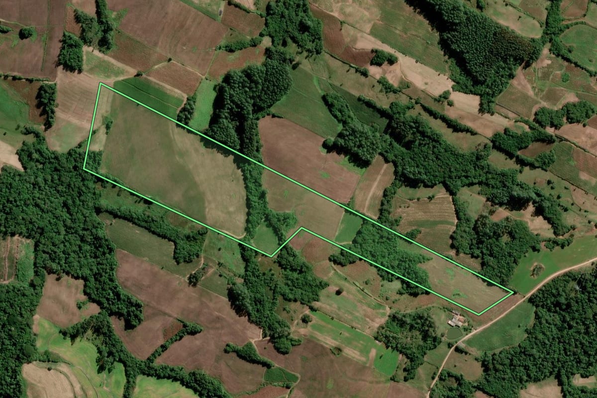 Imagem de satélite do imóvel rural em São Lourenço do Sul (RS), com o contorno declarado no CAR desenhado por cima.
