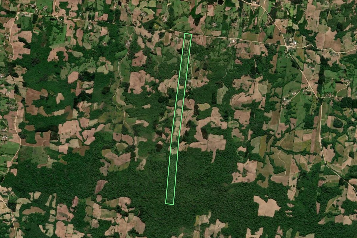 Imagem de satélite do imóvel rural em São Lourenço do Sul (RS), com o contorno declarado no CAR desenhado por cima.