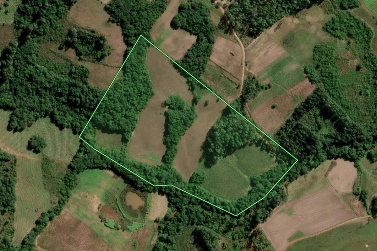 Imagem de satélite do imóvel rural em São Lourenço do Sul (RS), com o contorno declarado no CAR desenhado por cima.