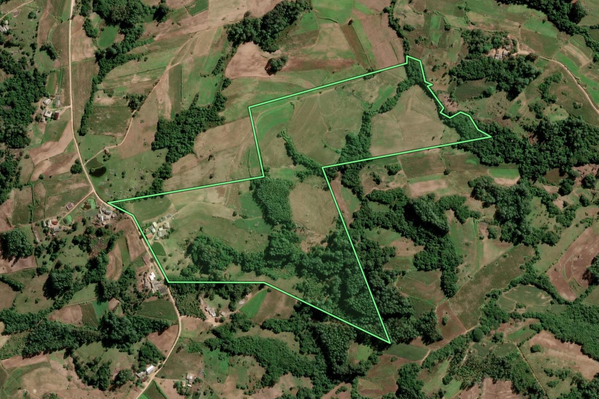 Imagem de satélite do imóvel rural em São Lourenço do Sul (RS), com o contorno declarado no CAR desenhado por cima.