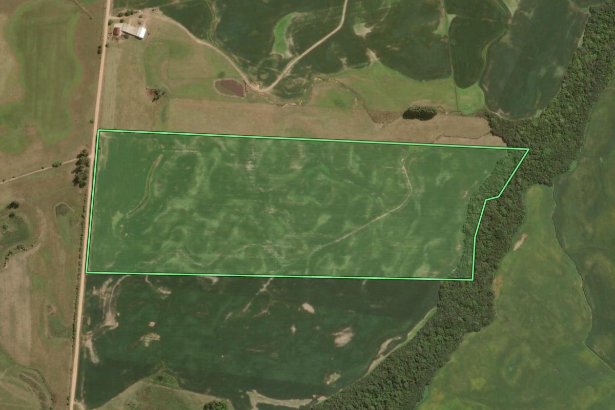 Imagem de satélite do imóvel rural em São Lourenço do Sul (RS), com o contorno declarado no CAR desenhado por cima.