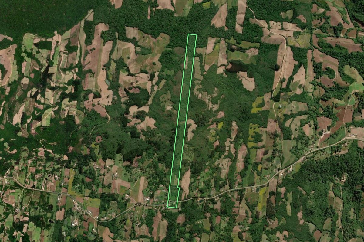 Imagem de satélite do imóvel rural em São Lourenço do Sul (RS), com o contorno declarado no CAR desenhado por cima.