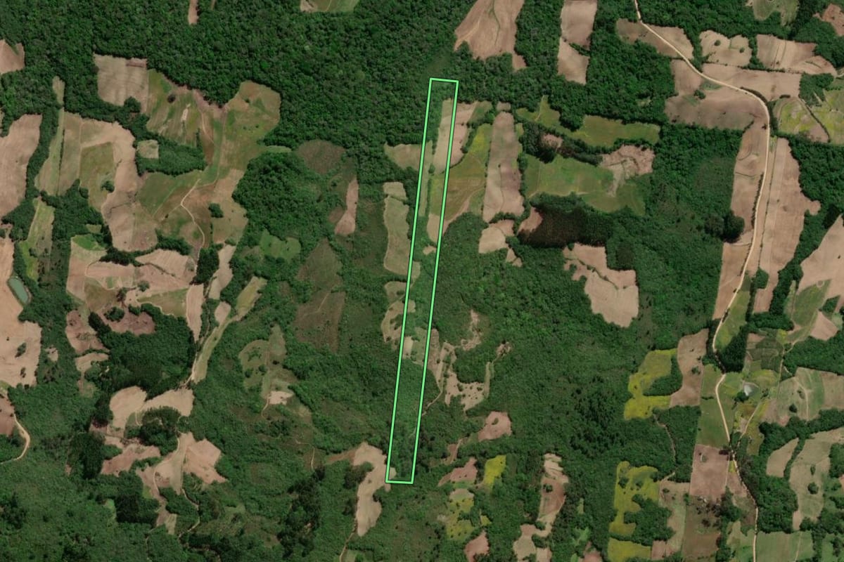 Imagem de satélite do imóvel rural em São Lourenço do Sul (RS), com o contorno declarado no CAR desenhado por cima.