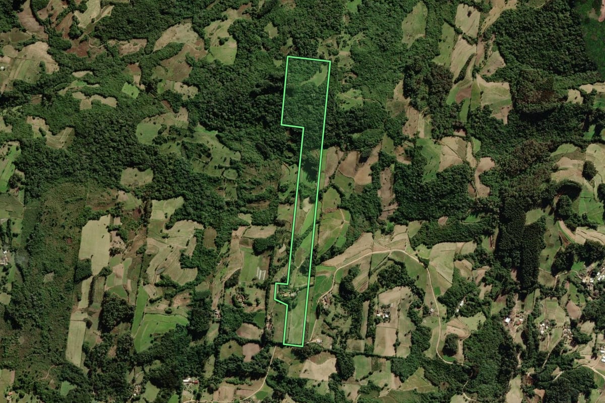 Imagem de satélite do imóvel rural em São Lourenço do Sul (RS), com o contorno declarado no CAR desenhado por cima.