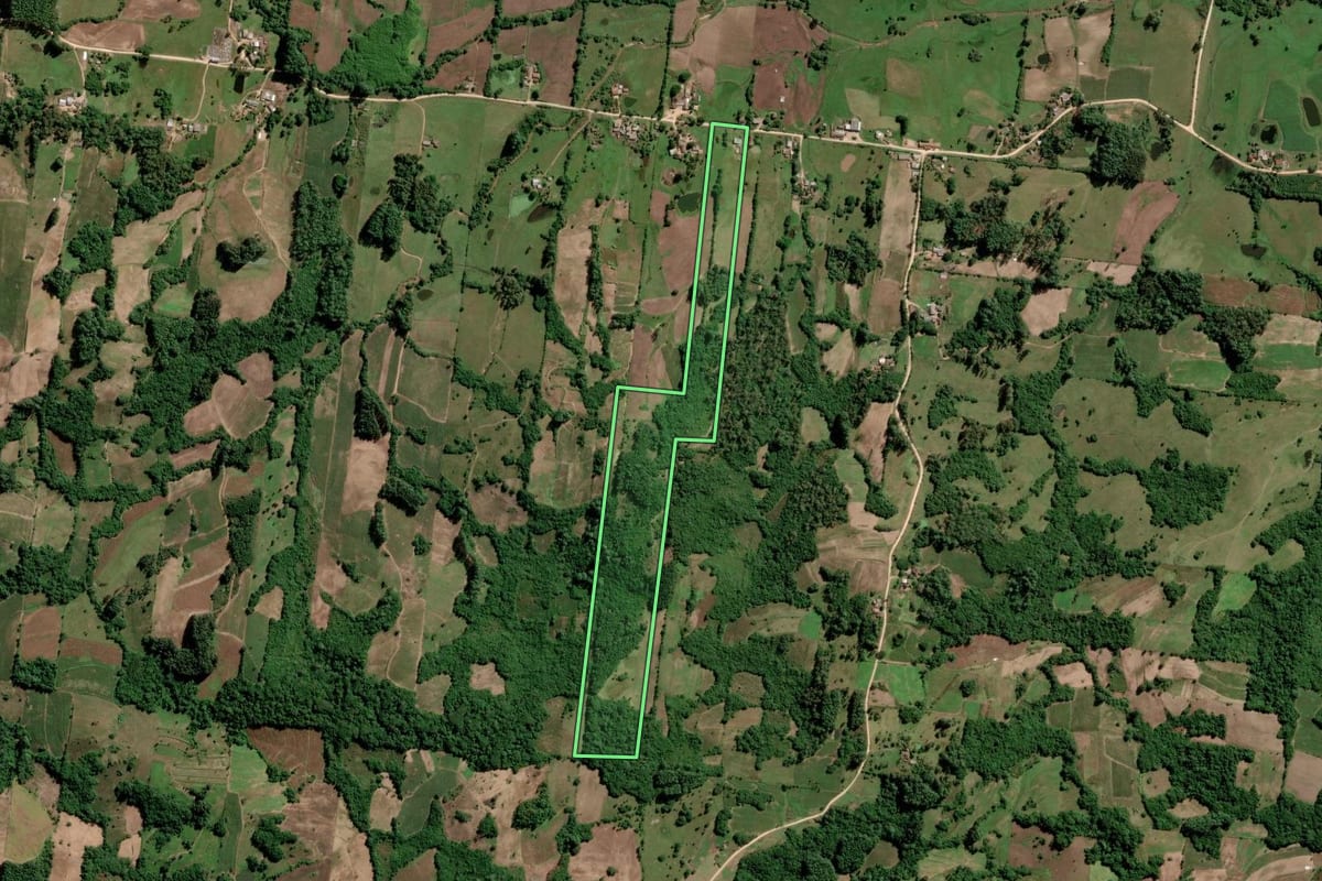 Imagem de satélite do imóvel rural em São Lourenço do Sul (RS), com o contorno declarado no CAR desenhado por cima.