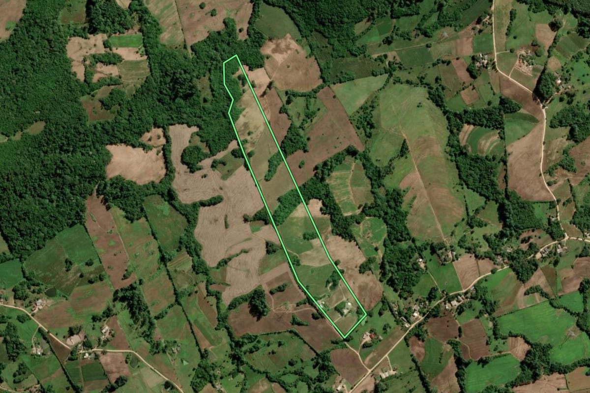 Imagem de satélite do imóvel rural em São Lourenço do Sul (RS), com o contorno declarado no CAR desenhado por cima.