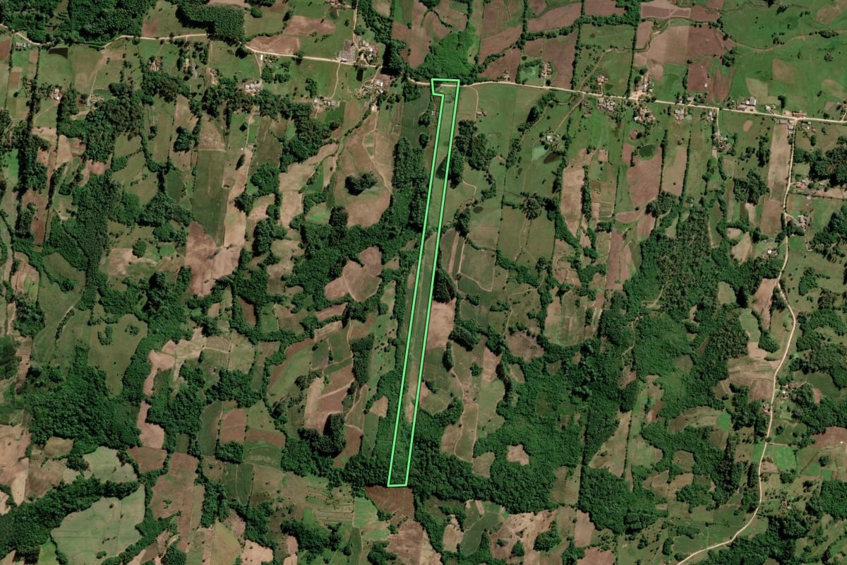 Imagem de satélite do imóvel rural em São Lourenço do Sul (RS), com o contorno declarado no CAR desenhado por cima.