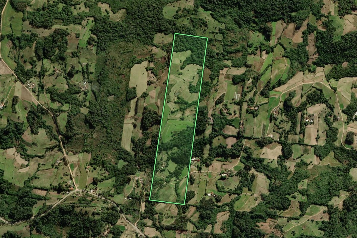 Imagem de satélite do imóvel rural em São Lourenço do Sul (RS), com o contorno declarado no CAR desenhado por cima.