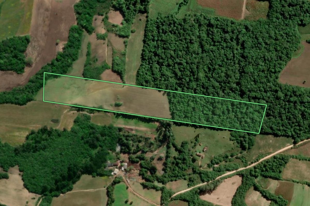 Imagem de satélite do imóvel rural em São Lourenço do Sul (RS), com o contorno declarado no CAR desenhado por cima.