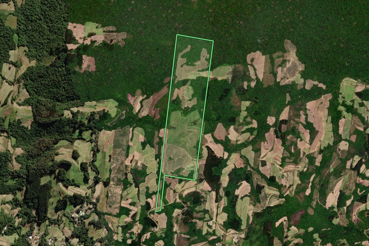 Imagem de satélite do imóvel rural em São Lourenço do Sul (RS), com o contorno declarado no CAR desenhado por cima.