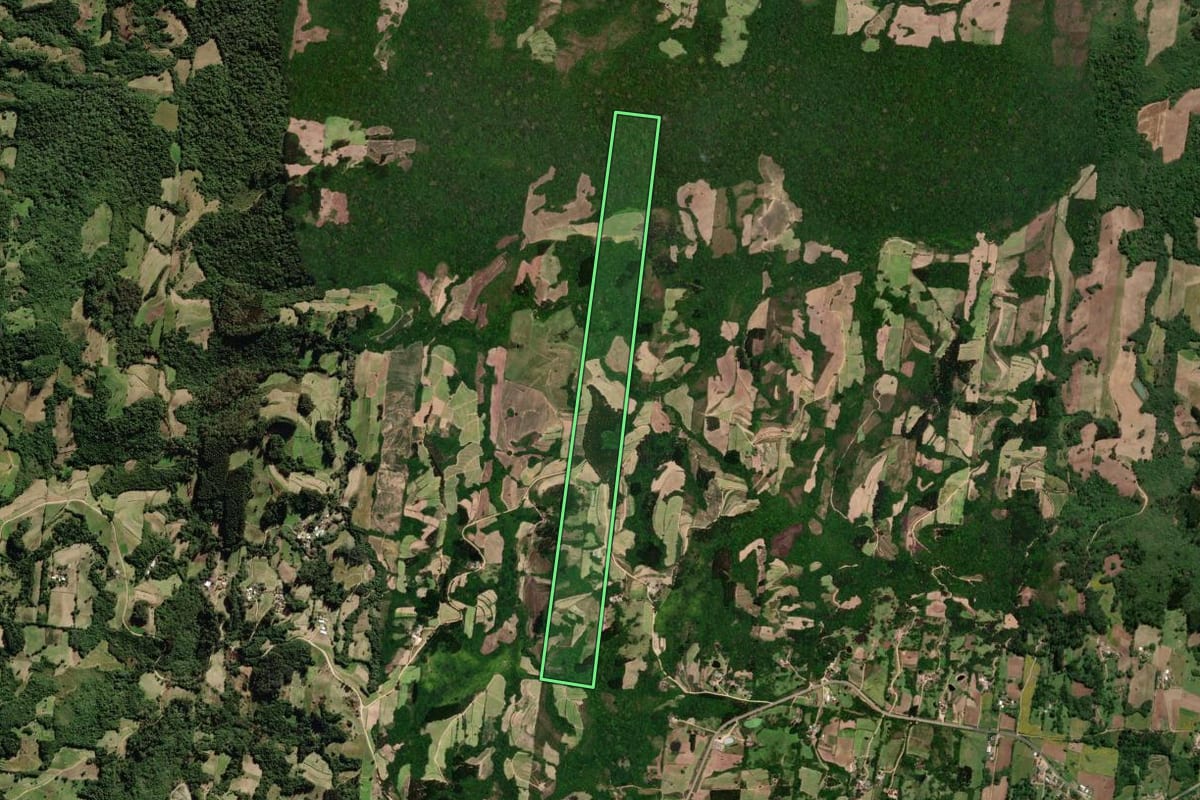 Imagem de satélite do imóvel rural em São Lourenço do Sul (RS), com o contorno declarado no CAR desenhado por cima.