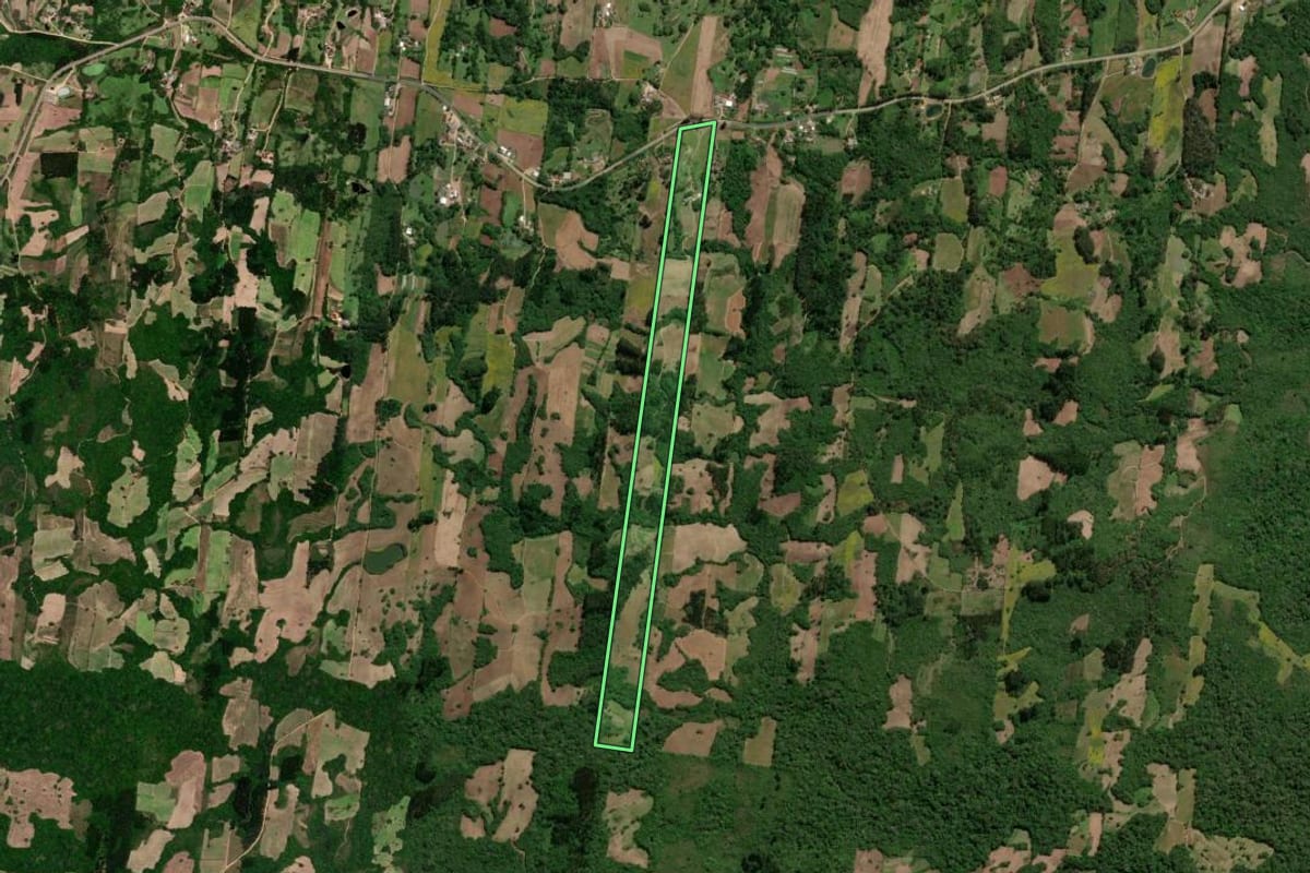 Imagem de satélite do imóvel rural em São Lourenço do Sul (RS), com o contorno declarado no CAR desenhado por cima.