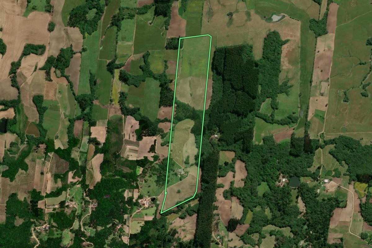 Imagem de satélite do imóvel rural em São Lourenço do Sul (RS), com o contorno declarado no CAR desenhado por cima.