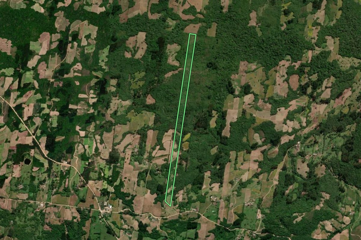Imagem de satélite do imóvel rural em São Lourenço do Sul (RS), com o contorno declarado no CAR desenhado por cima.