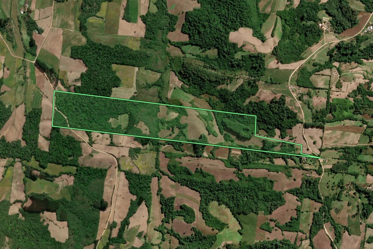 Imagem de satélite do imóvel rural em São Lourenço do Sul (RS), com o contorno declarado no CAR desenhado por cima.