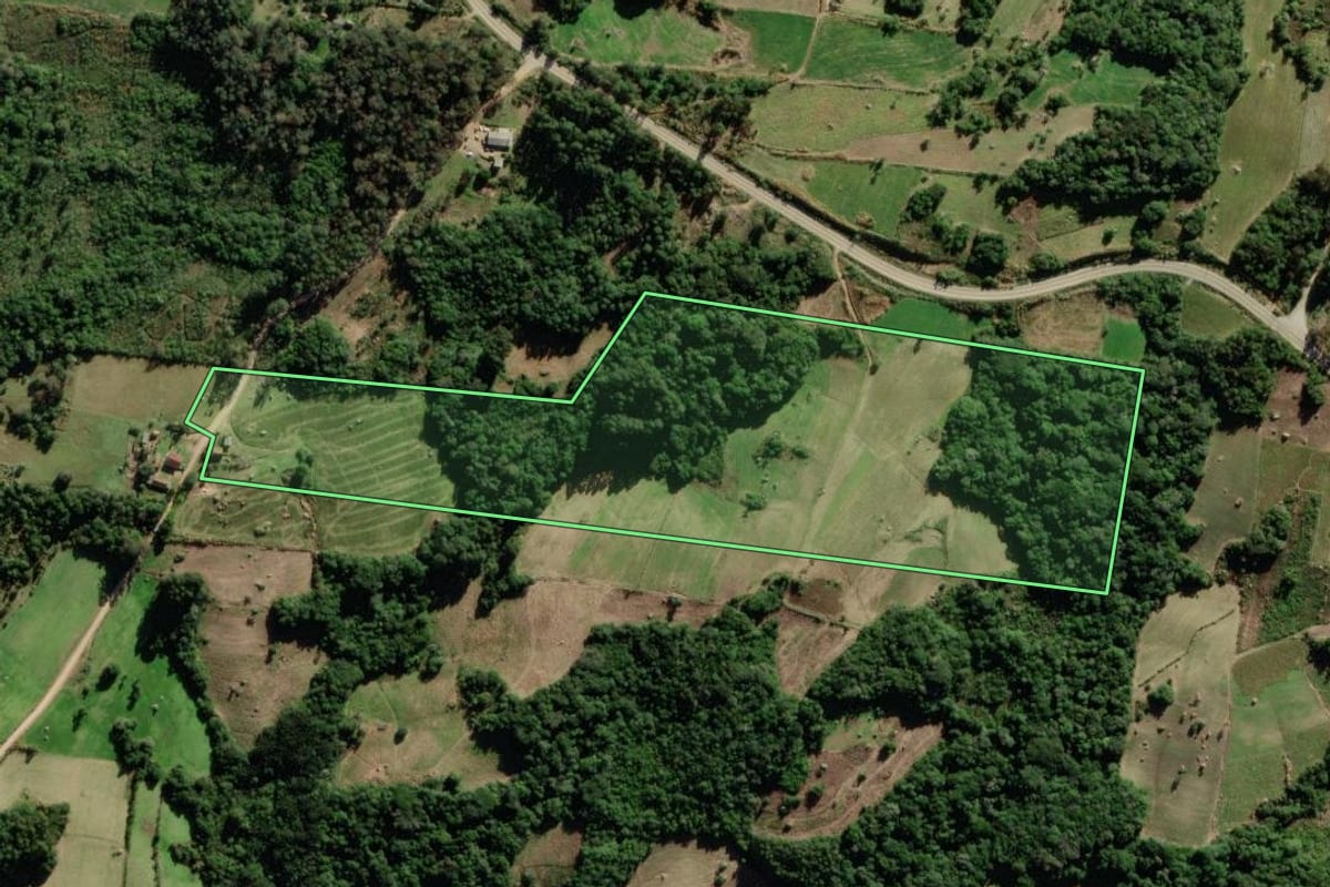 Imagem de satélite do imóvel rural em São Lourenço do Sul (RS), com o contorno declarado no CAR desenhado por cima.