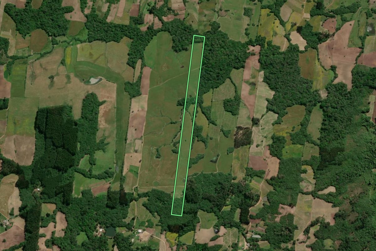 Imagem de satélite do imóvel rural em São Lourenço do Sul (RS), com o contorno declarado no CAR desenhado por cima.