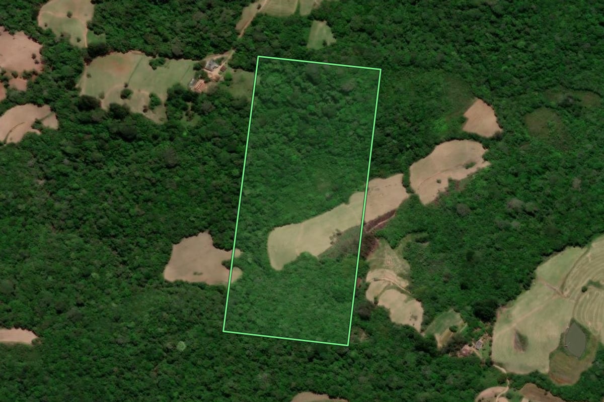 Imagem de satélite do imóvel rural em São Lourenço do Sul (RS), com o contorno declarado no CAR desenhado por cima.