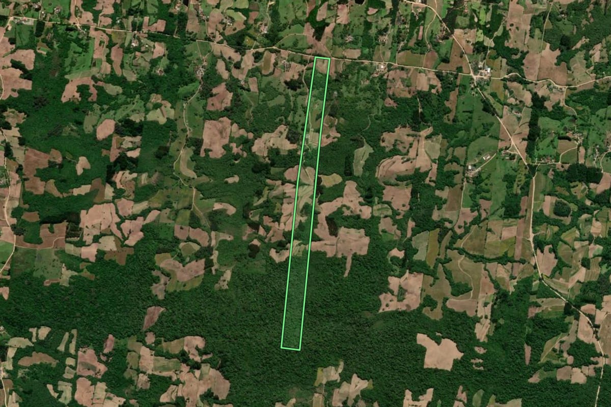 Imagem de satélite do imóvel rural em São Lourenço do Sul (RS), com o contorno declarado no CAR desenhado por cima.