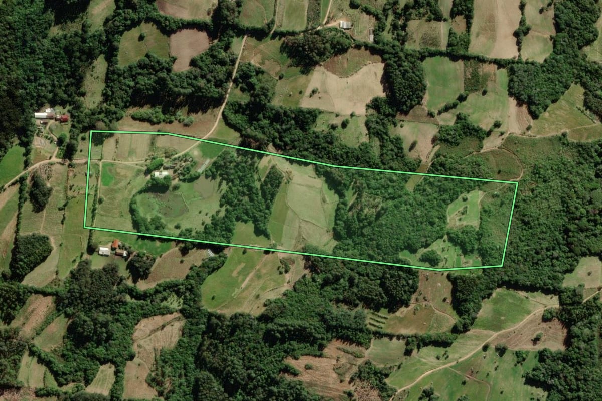 Imagem de satélite do imóvel rural em São Lourenço do Sul (RS), com o contorno declarado no CAR desenhado por cima.