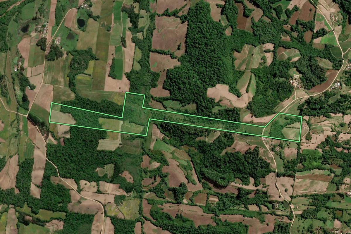 Imagem de satélite do imóvel rural em São Lourenço do Sul (RS), com o contorno declarado no CAR desenhado por cima.