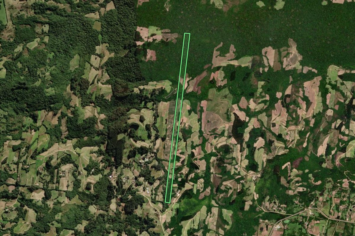 Imagem de satélite do imóvel rural em São Lourenço do Sul (RS), com o contorno declarado no CAR desenhado por cima.