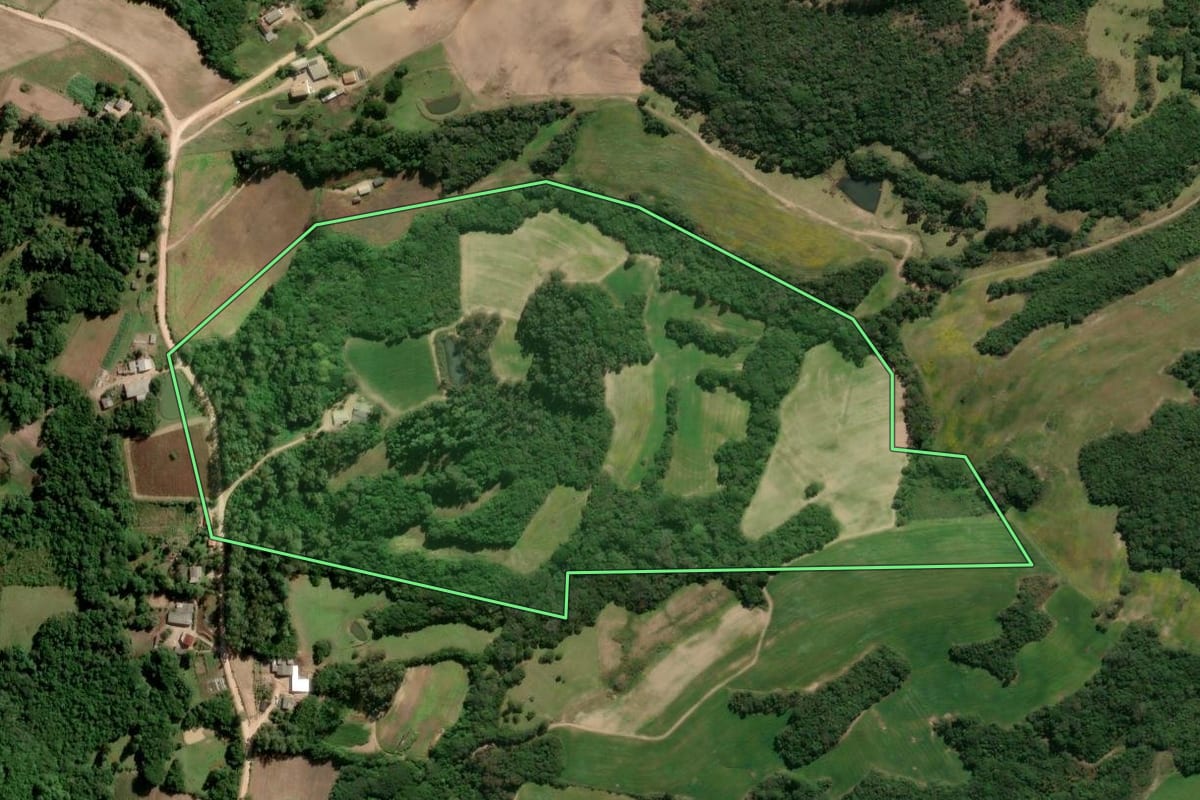 Imagem de satélite do imóvel rural em São Lourenço do Sul (RS), com o contorno declarado no CAR desenhado por cima.