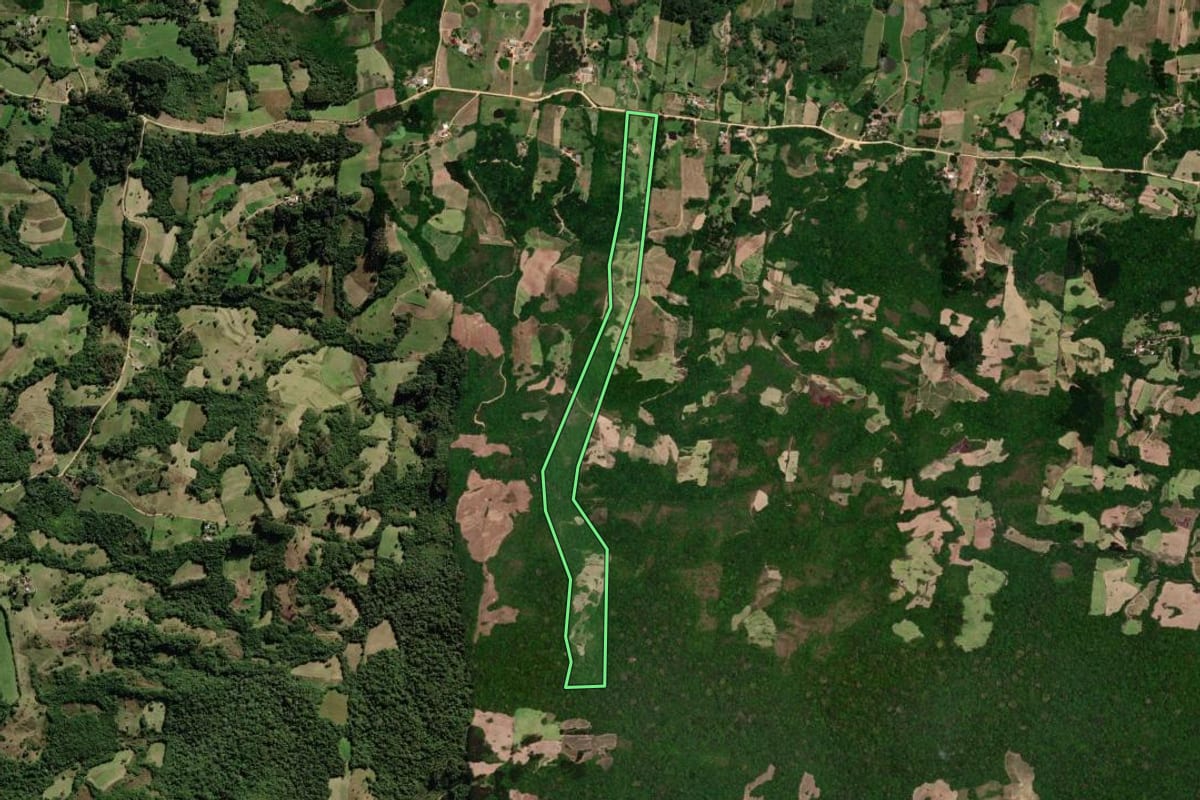 Imagem de satélite do imóvel rural em São Lourenço do Sul (RS), com o contorno declarado no CAR desenhado por cima.