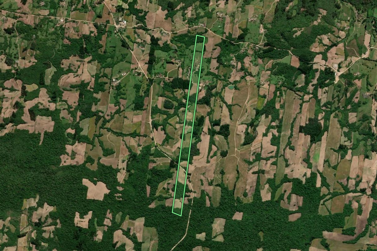 Imagem de satélite do imóvel rural em São Lourenço do Sul (RS), com o contorno declarado no CAR desenhado por cima.