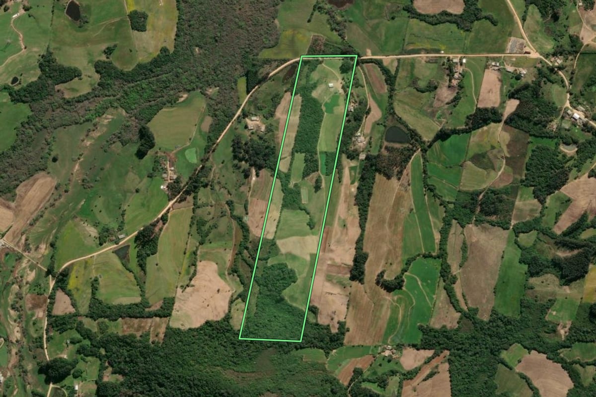 Imagem de satélite do imóvel rural em São Lourenço do Sul (RS), com o contorno declarado no CAR desenhado por cima.