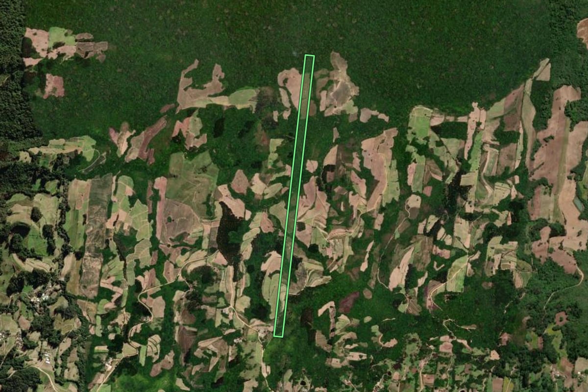 Imagem de satélite do imóvel rural em São Lourenço do Sul (RS), com o contorno declarado no CAR desenhado por cima.