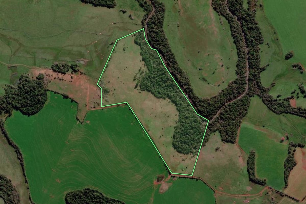 Imagem de satélite do imóvel rural em São Luiz Gonzaga (RS), com o contorno declarado no CAR desenhado por cima.