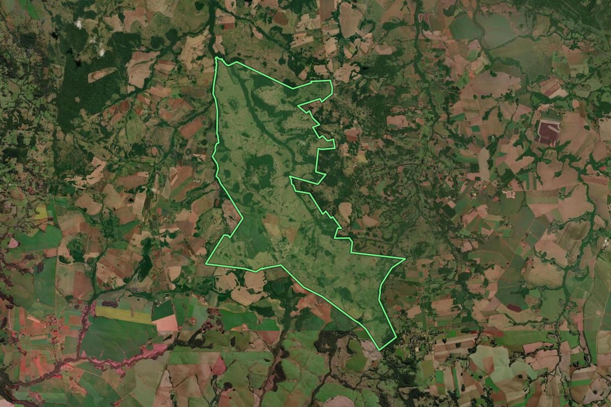Imagem de satélite do imóvel rural em São Luiz Gonzaga (RS), com o contorno declarado no CAR desenhado por cima.